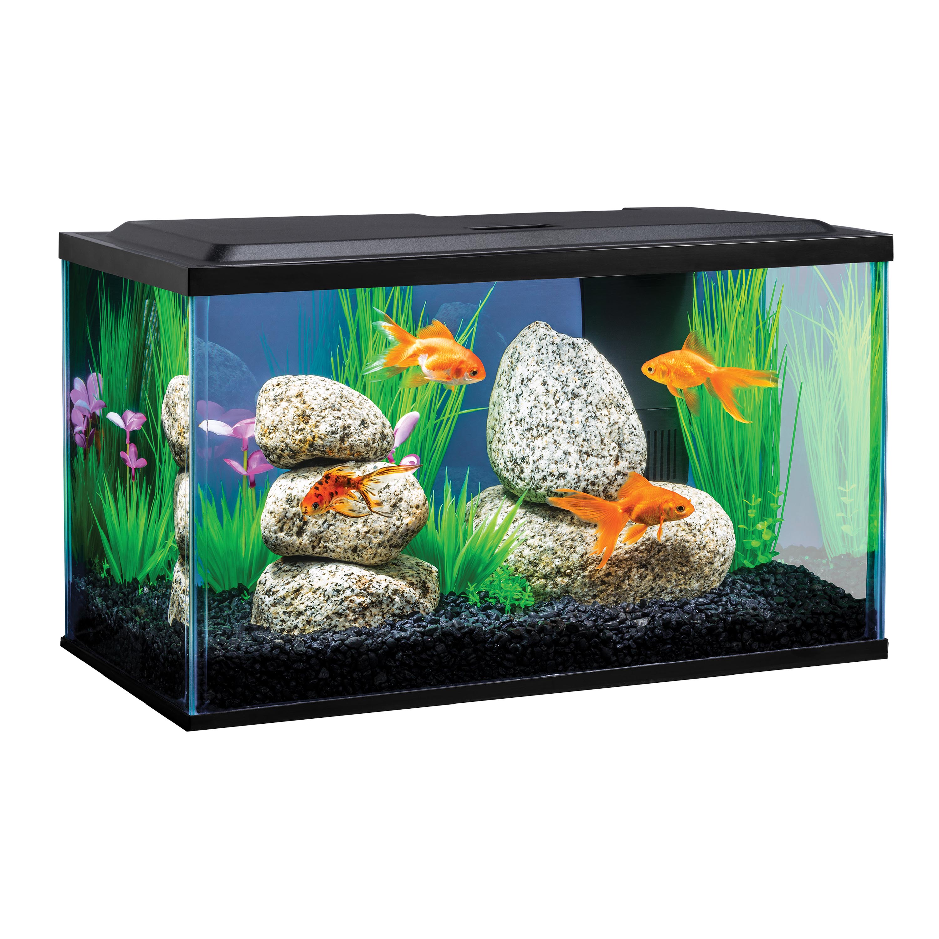 Goldfish LED Aquarium Kit Tetra